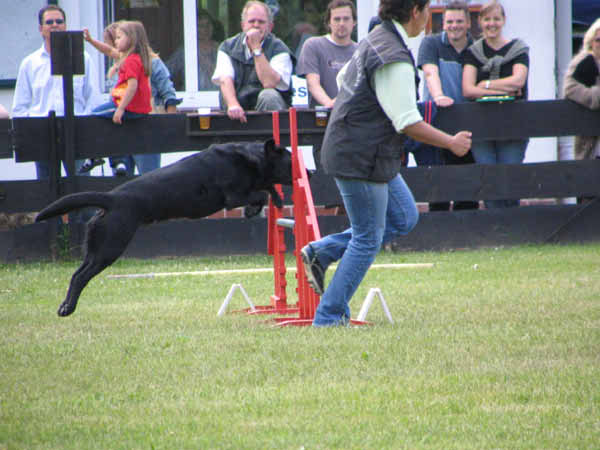 090-PHV Hannover13_06_2004_Birgit+Balou an Hürde