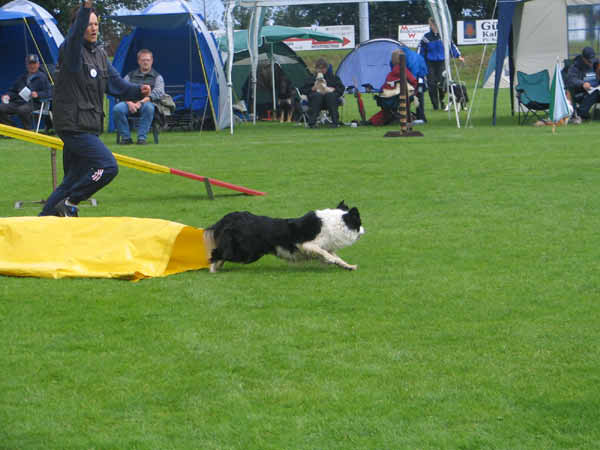 136Queenly Sacktunnel