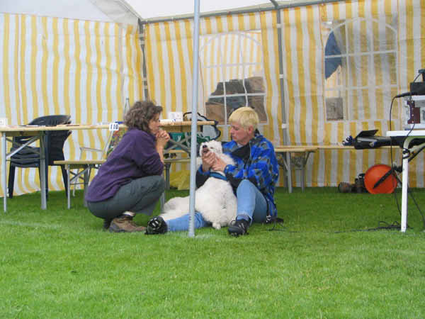 213Angela,Stephy,Otto