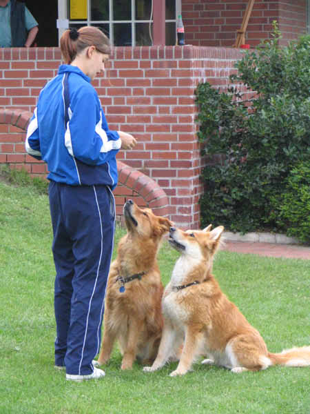 222Caroline,Ginger,Theo 3