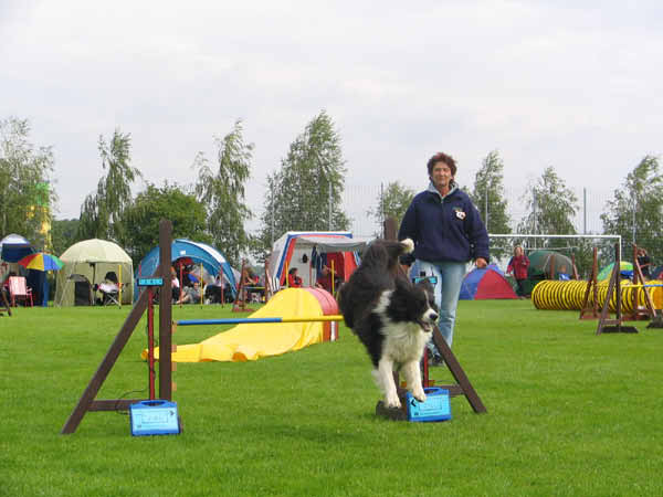 253IMG_0920