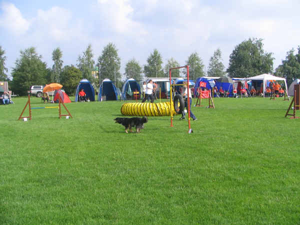 IMG_2305