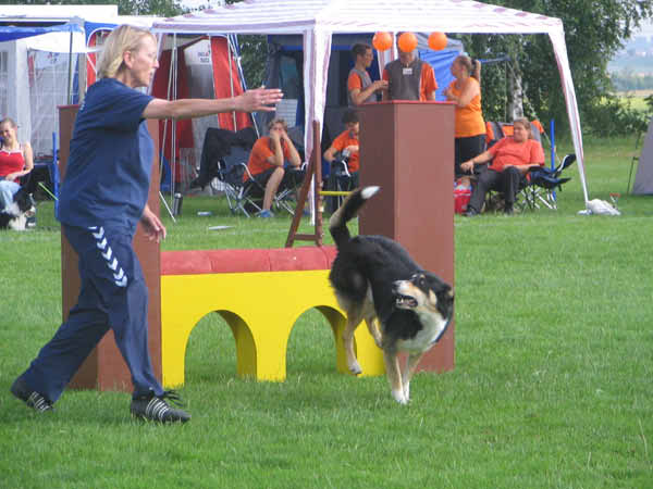 IMG_2313
