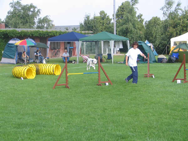 IMG_2315