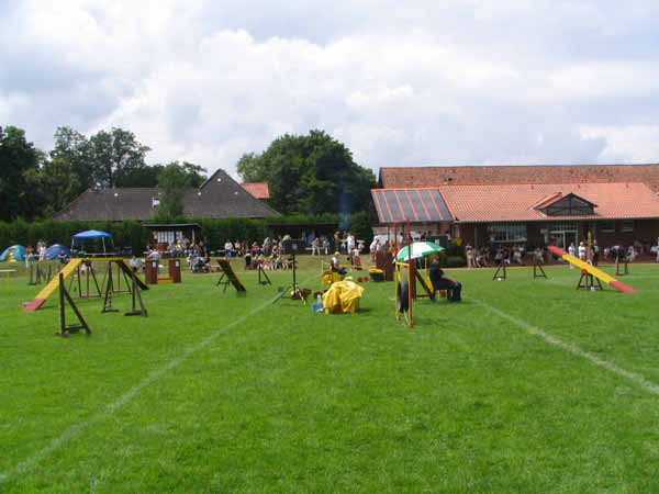 IMG_2526