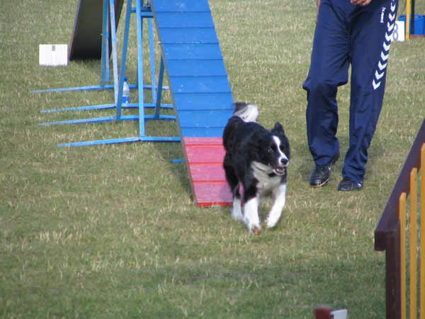 IMG_2677