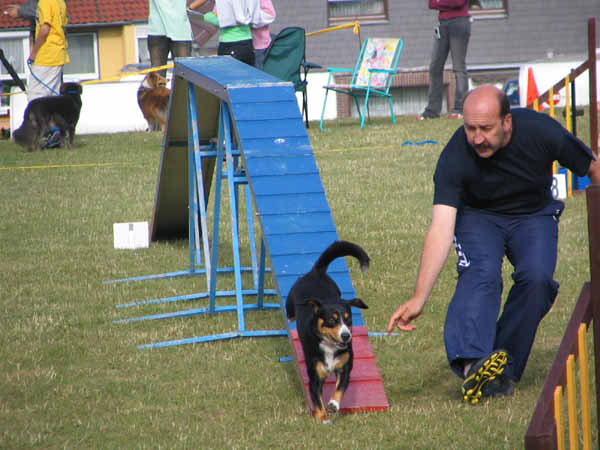IMG_2681