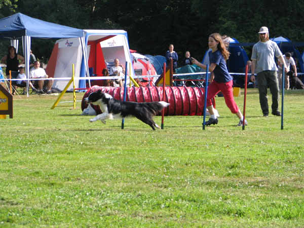 IMG_2754