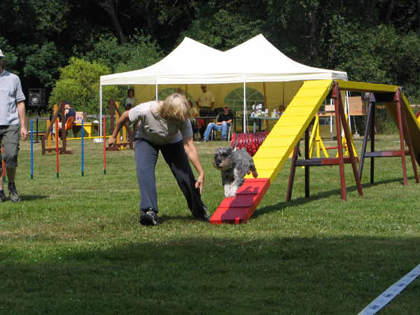 IMG_2823