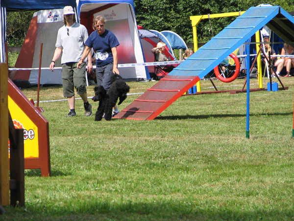 IMG_2825