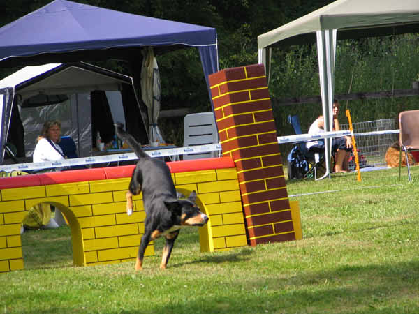IMG_2830