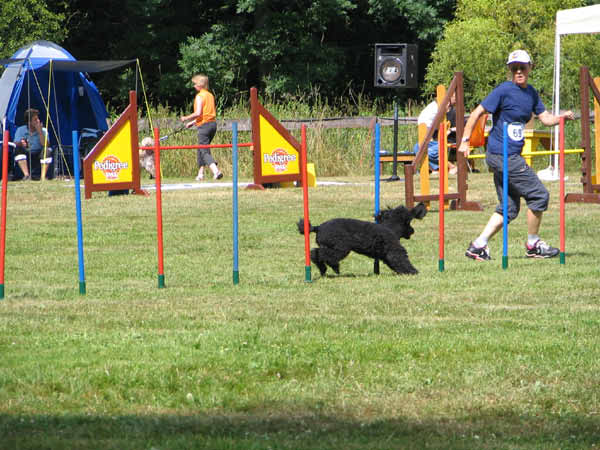 IMG_2835