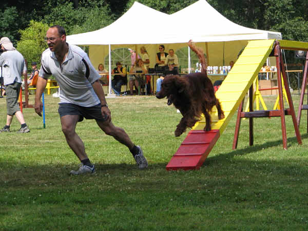 IMG_2843